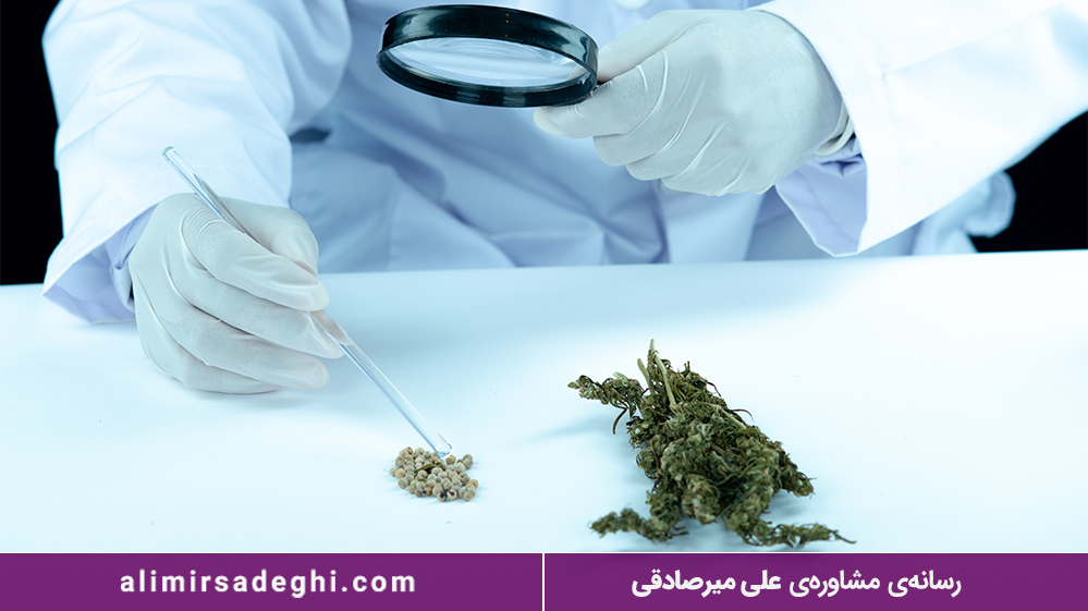 مصرف ماری جوانا