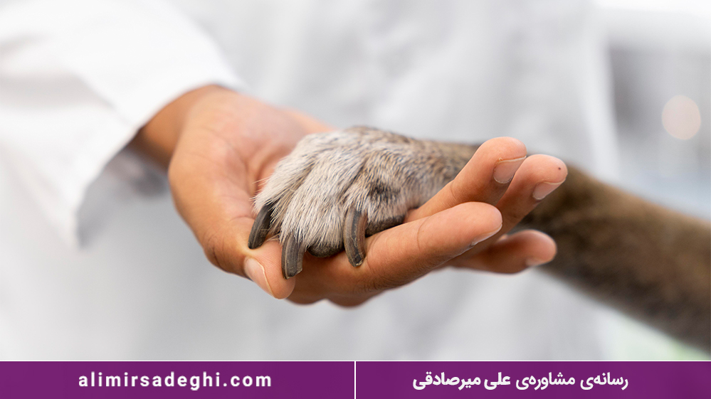 رشته دامپزشکی