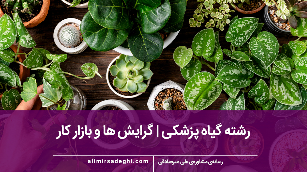 رشته گیاه پزشکی