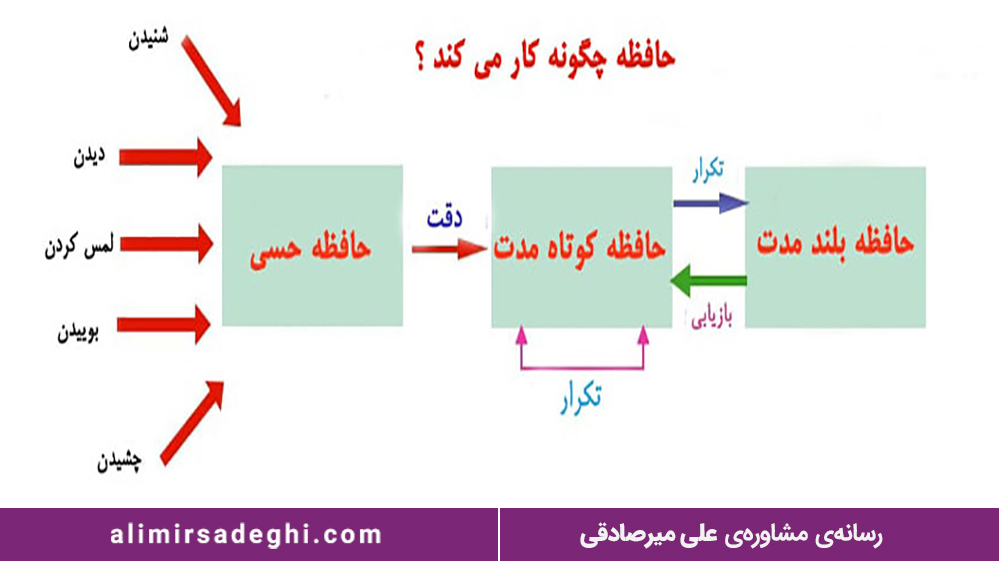 انواع حافظه