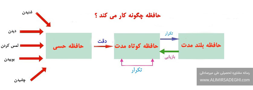 حافظه چیست و انواع حافظه 