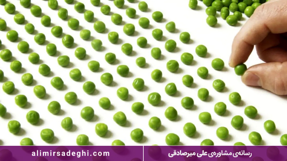  مبارزه با کمال گرایی 